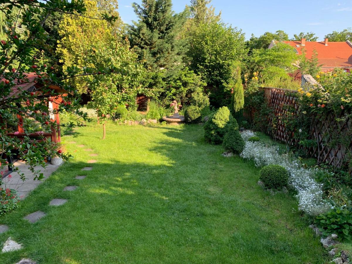 Quiet Room In Budapest Near Airport With Free Parking Экстерьер фото
